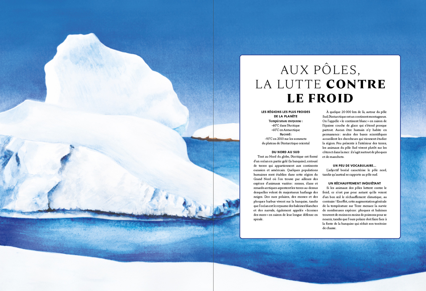 Planche illustrant et décrivant les effets du changement climatique sur les espèces vivant aux pôles
