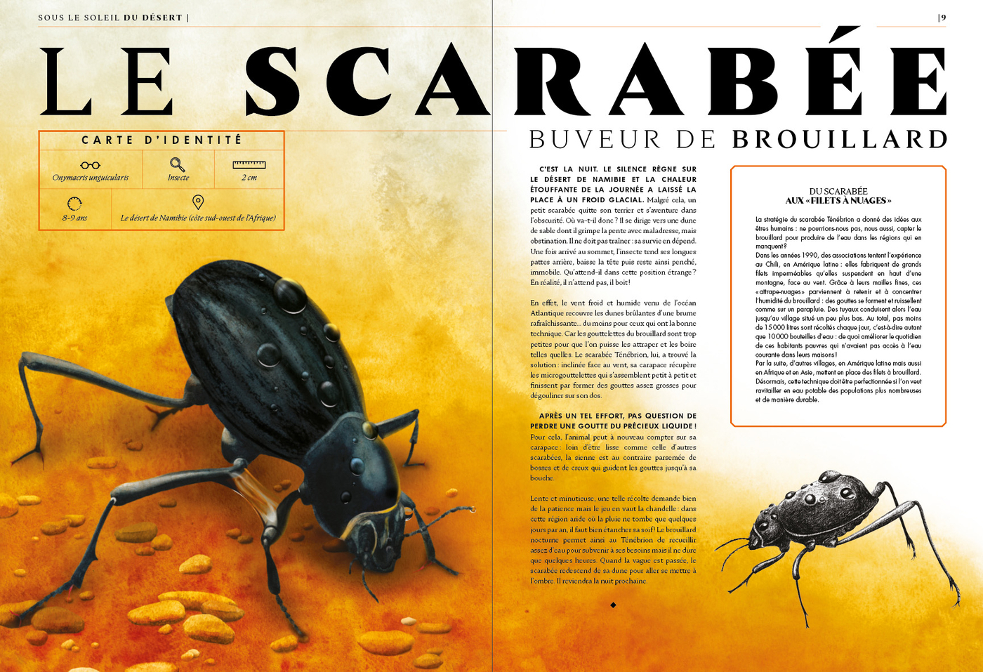 Planche illustrant et décrivant les capacités hors norme du scarabée, issue du Grand livre des animaux de l'extrême
