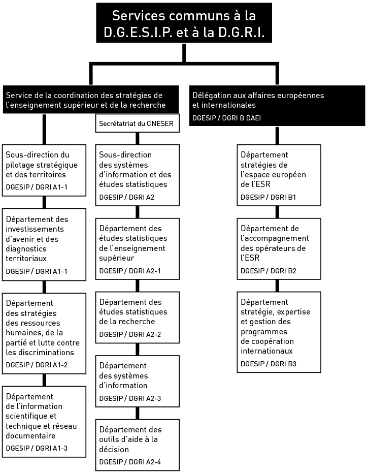 Services communs à la DGESIP et DGRI